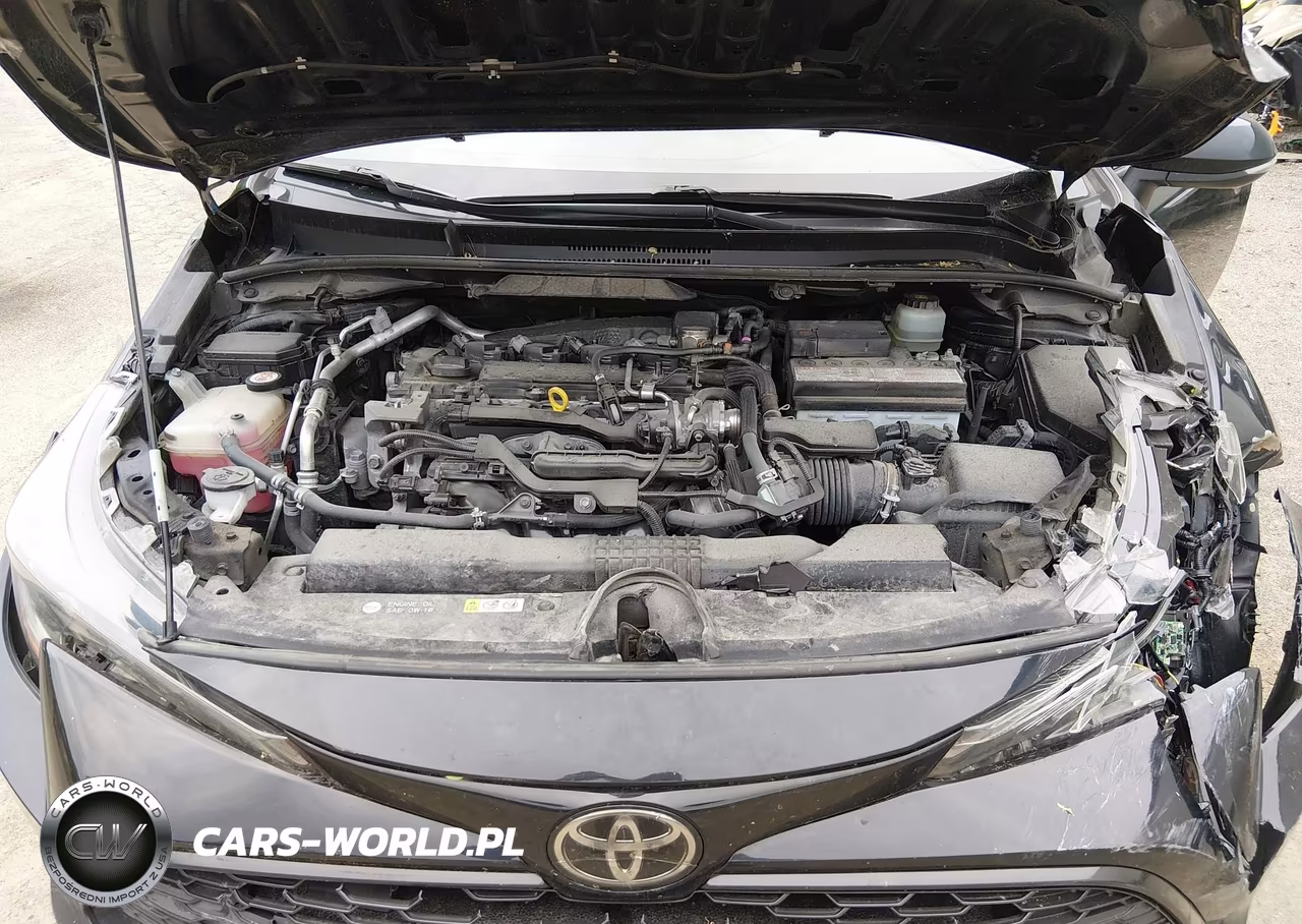 2019 Toyota Corolla Se VIN:JTNK4RBE5K3072285 - 10