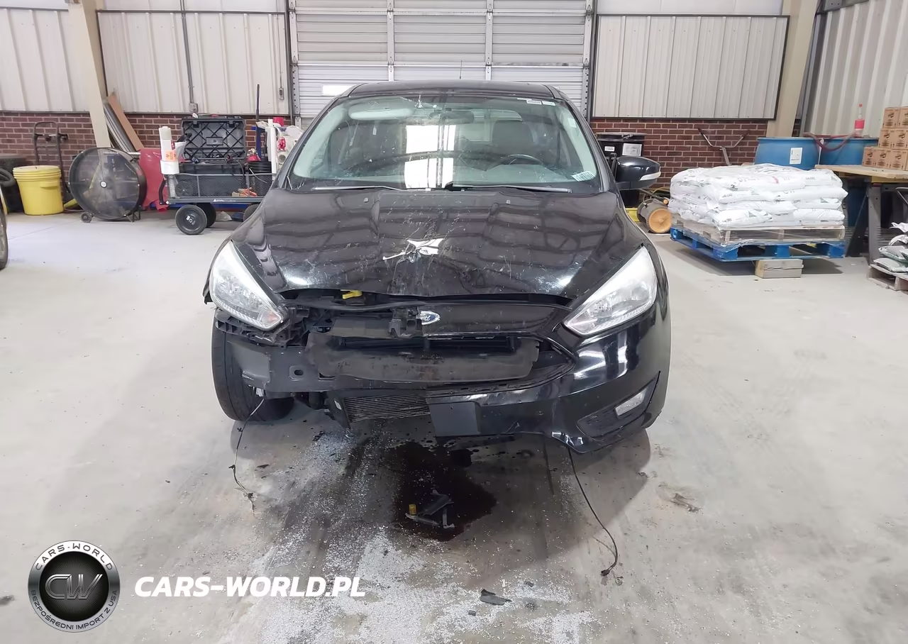 2016 Ford Focus Se VIN:1FADP3K29GL355468 - 13