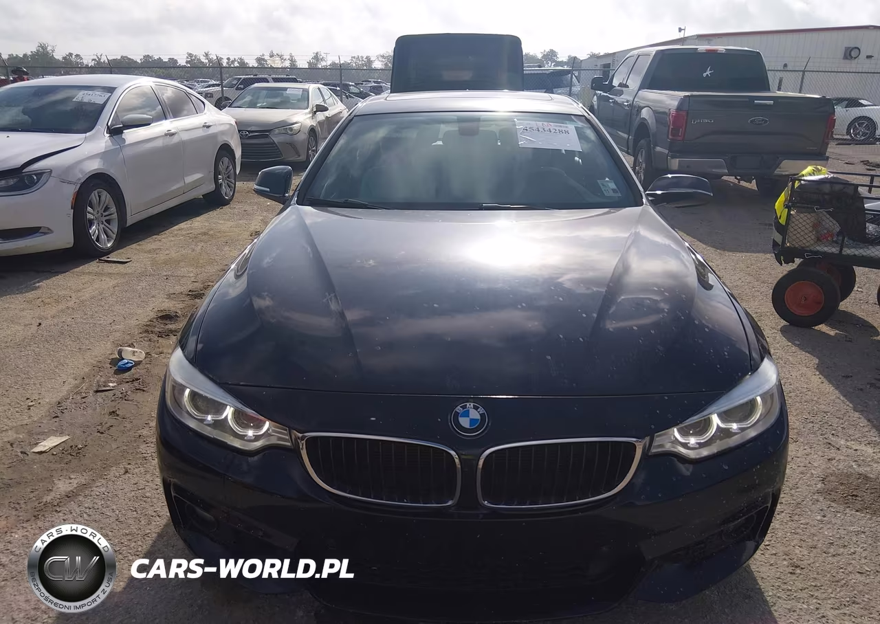 2016 BMW 428I Gran Coupe VIN:WBA4A9C52GG505725 - 12