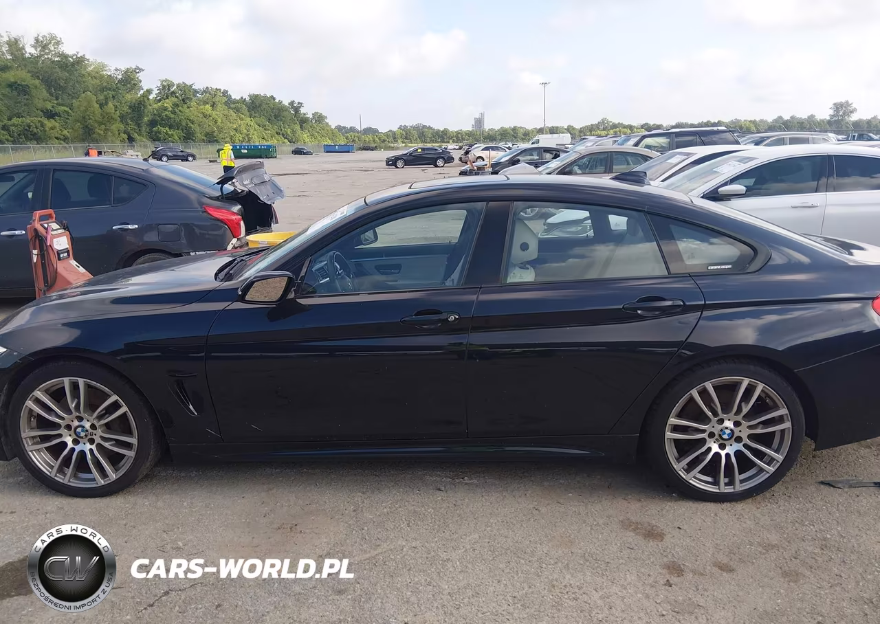2016 BMW 428I Gran Coupe VIN:WBA4A9C52GG505725 - 14