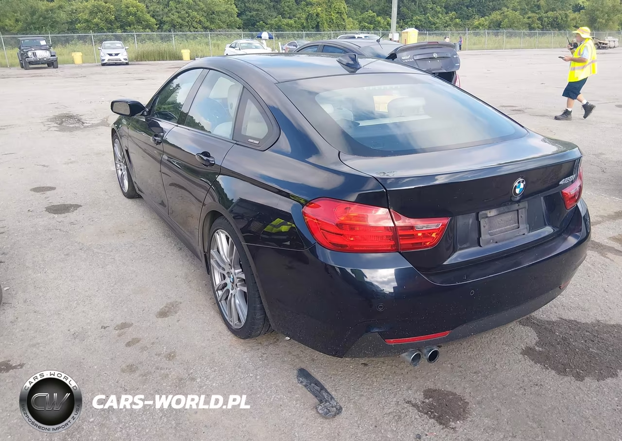 2016 BMW 428I Gran Coupe VIN:WBA4A9C52GG505725 - 3