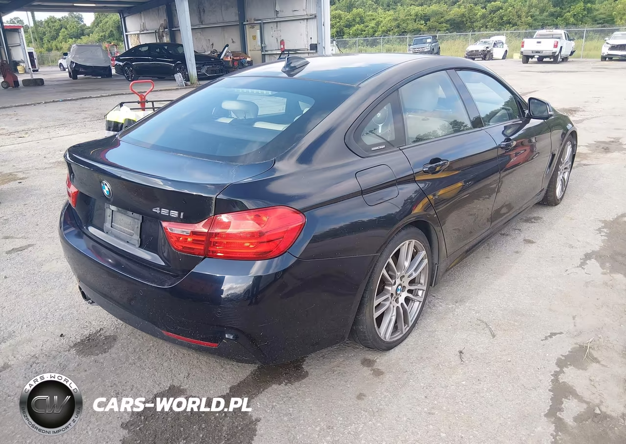 2016 BMW 428I Gran Coupe VIN:WBA4A9C52GG505725 - 4