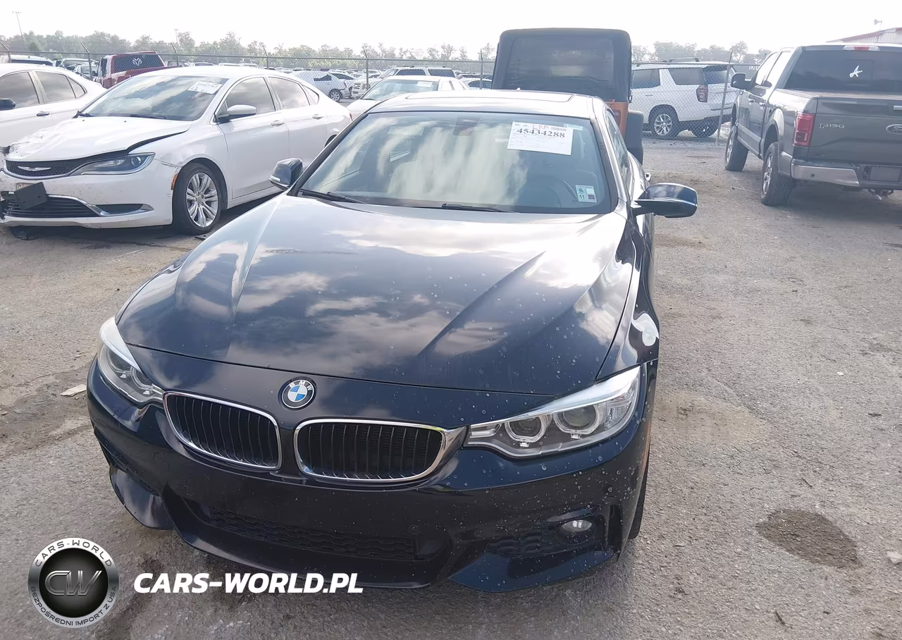 2016 BMW 428I Gran Coupe VIN:WBA4A9C52GG505725 - 6