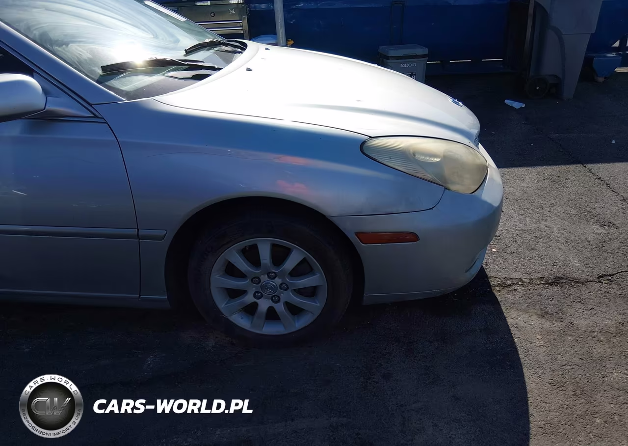 2004 Lexus Es 330 VIN:JTHBA30G540008622 - 12