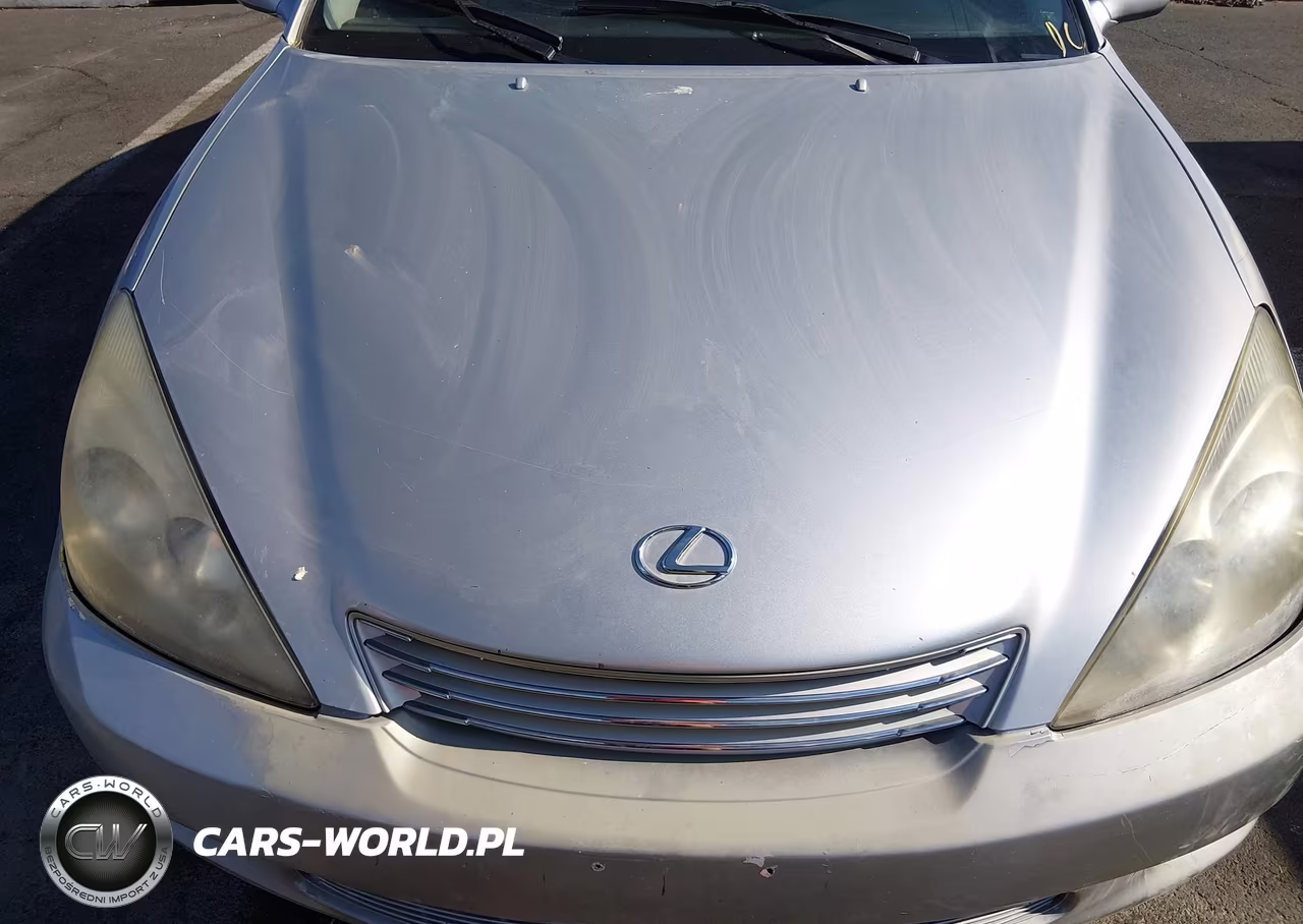 2004 Lexus Es 330 VIN:JTHBA30G540008622 - 13