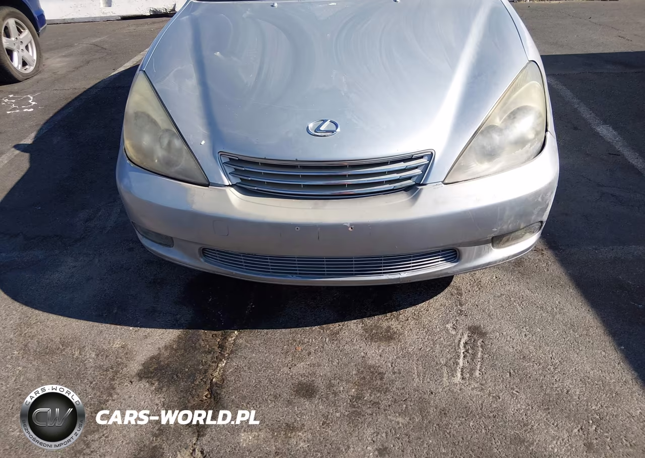 2004 Lexus Es 330 VIN:JTHBA30G540008622 - 6