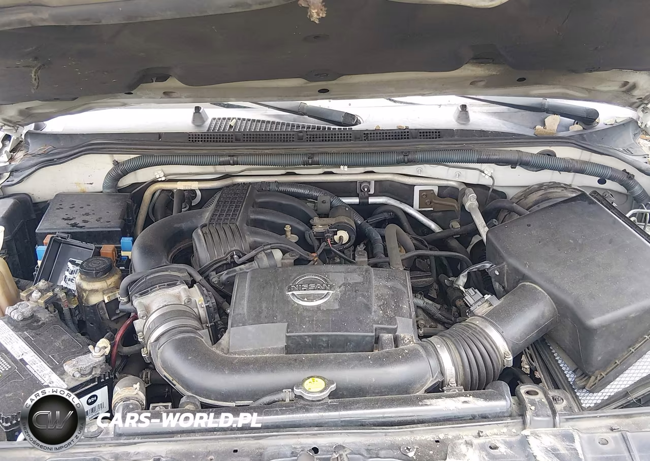 2010 Nissan Xterra S VIN:5N1AN0NU5AC501107 - 10