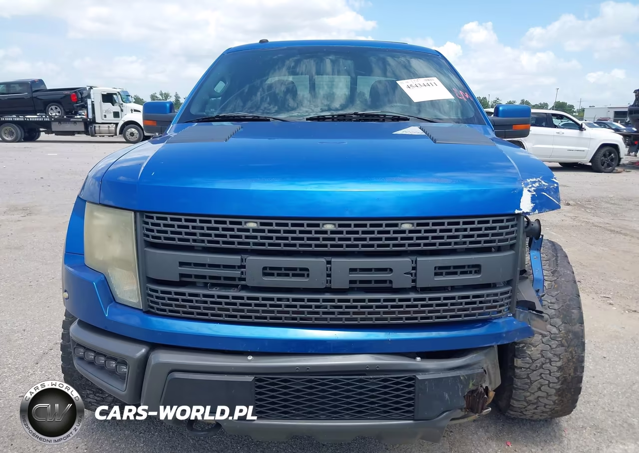 2010 Ford F-150 Svt Raptor VIN:1FTEX1EV5AFB54066 - 13