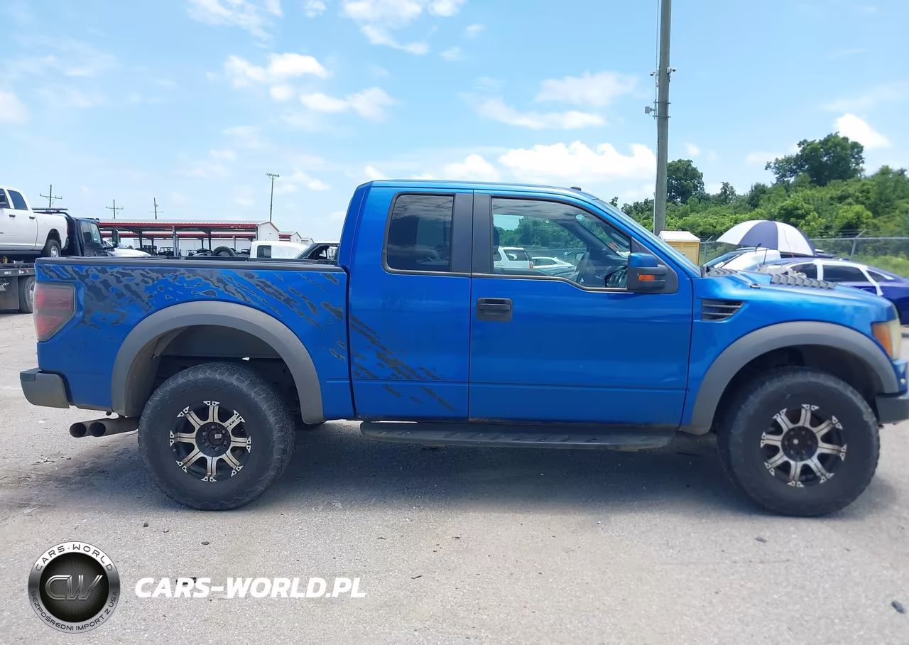 2010 Ford F-150 Svt Raptor VIN:1FTEX1EV5AFB54066 - 14