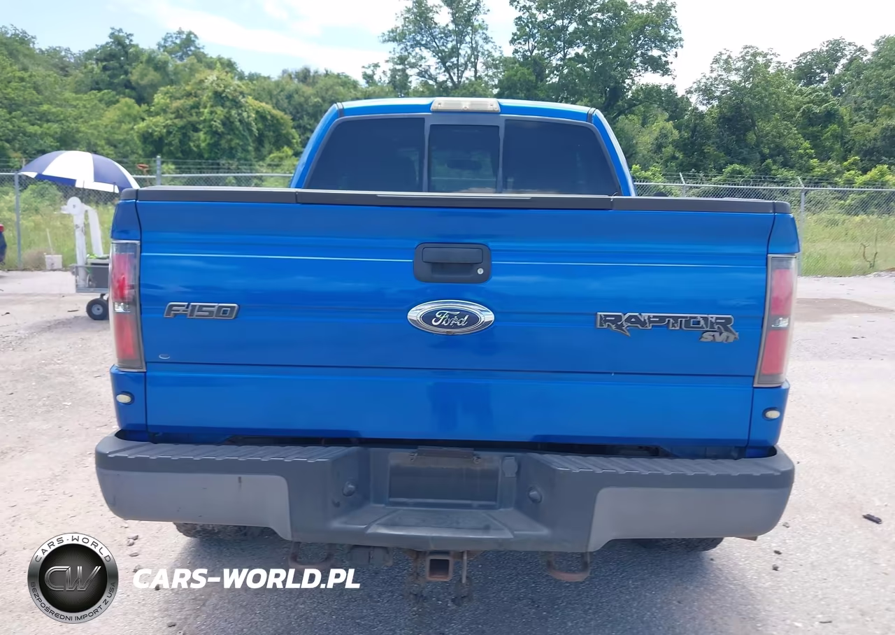 2010 Ford F-150 Svt Raptor VIN:1FTEX1EV5AFB54066 - 17