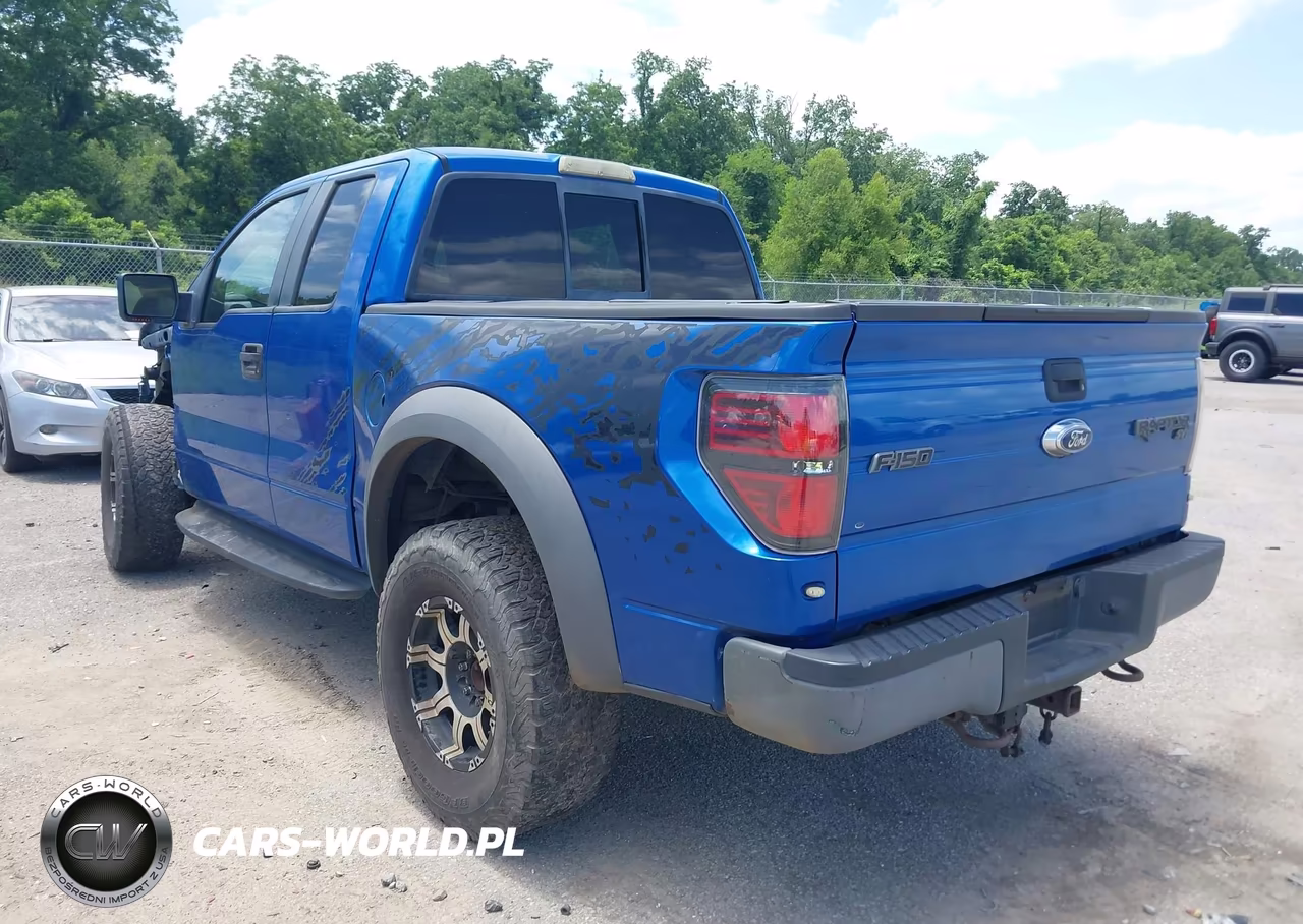 2010 Ford F-150 Svt Raptor VIN:1FTEX1EV5AFB54066 - 3