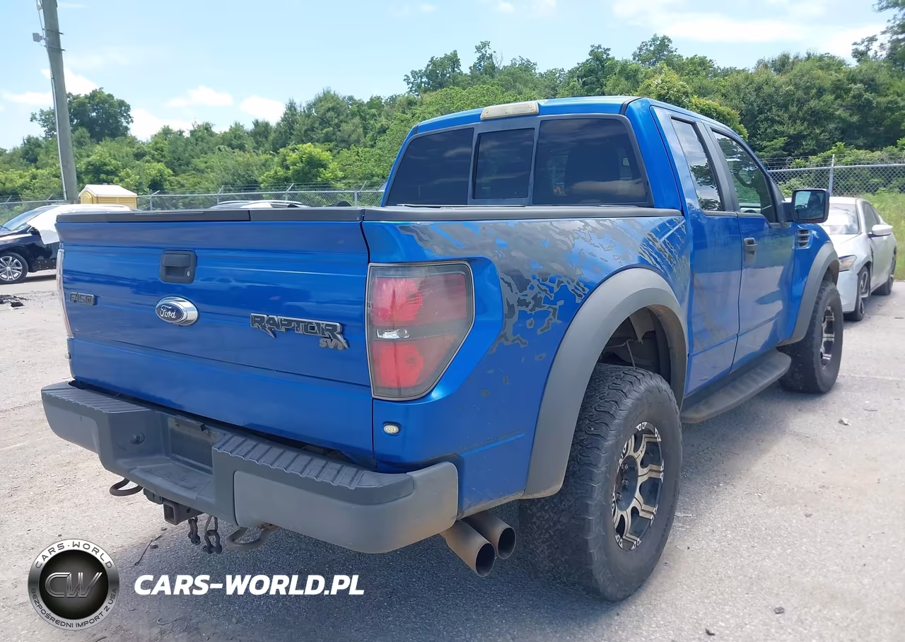 2010 Ford F-150 Svt Raptor VIN:1FTEX1EV5AFB54066 - 4