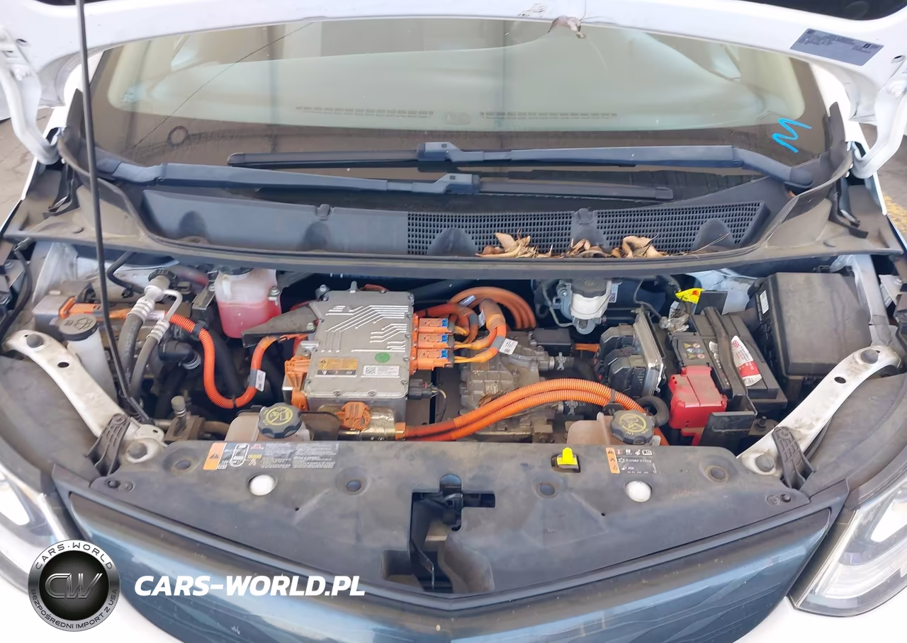2017 Chevrolet Bolt Ev Lt VIN:1G1FW6S09H4191259 - 10