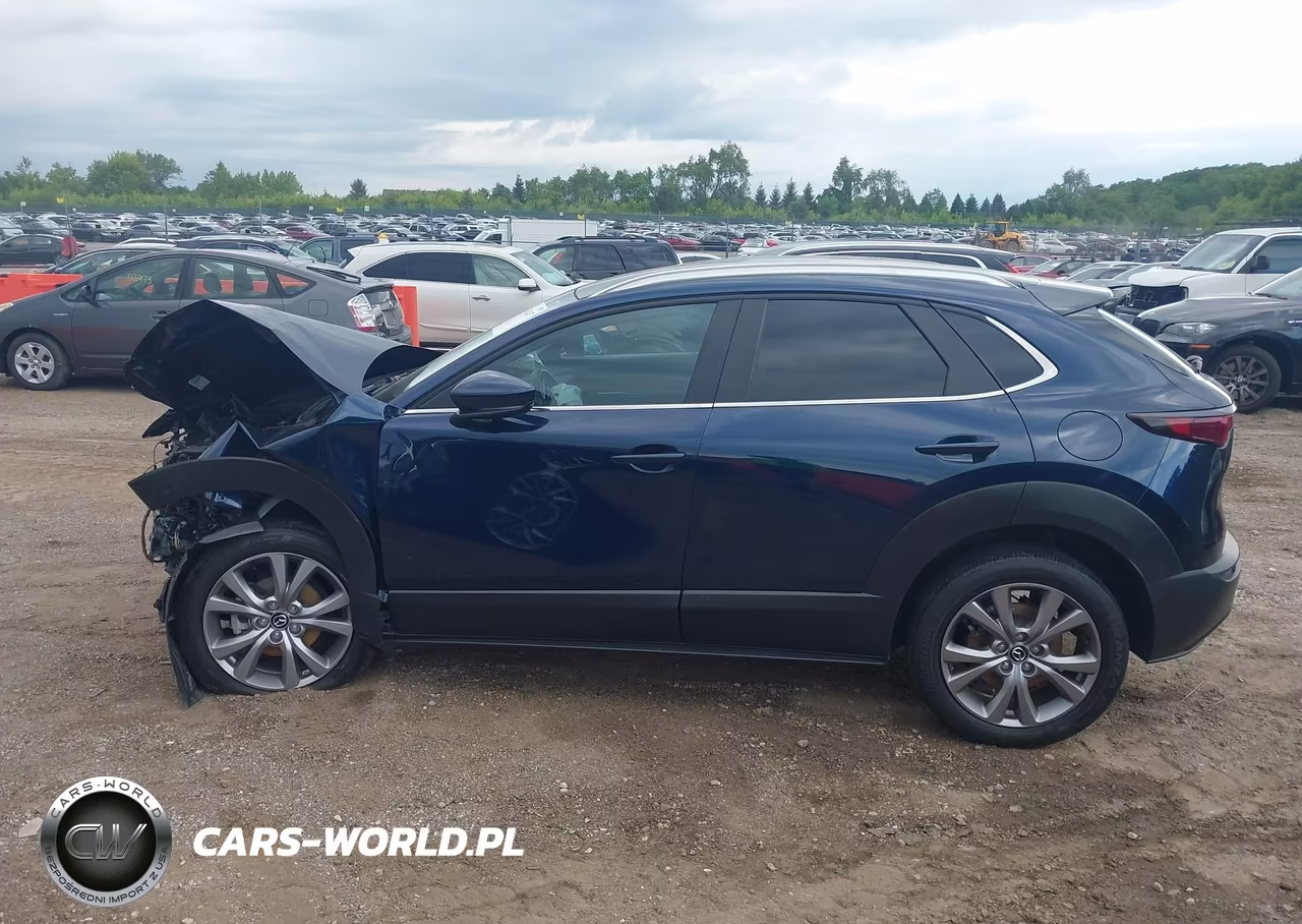 2022 Mazda Cx-30 Select VIN:3MVDMBBL8NM420259 - 14
