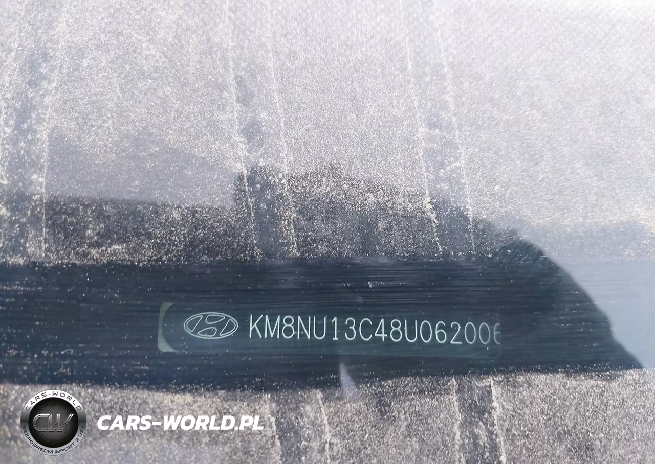 2008 Hyundai Veracruz Gls-Limited-Se VIN:KM8NU13C48U062006 - 12
