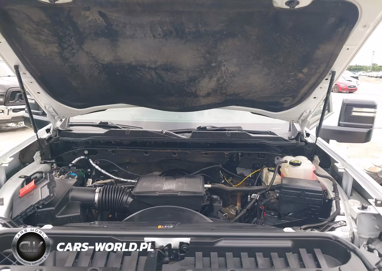 2020 Chevrolet Silverado 2500Hd 4Wd Standard Bed Wt VIN:1GC1YLE78LF248289 - 10