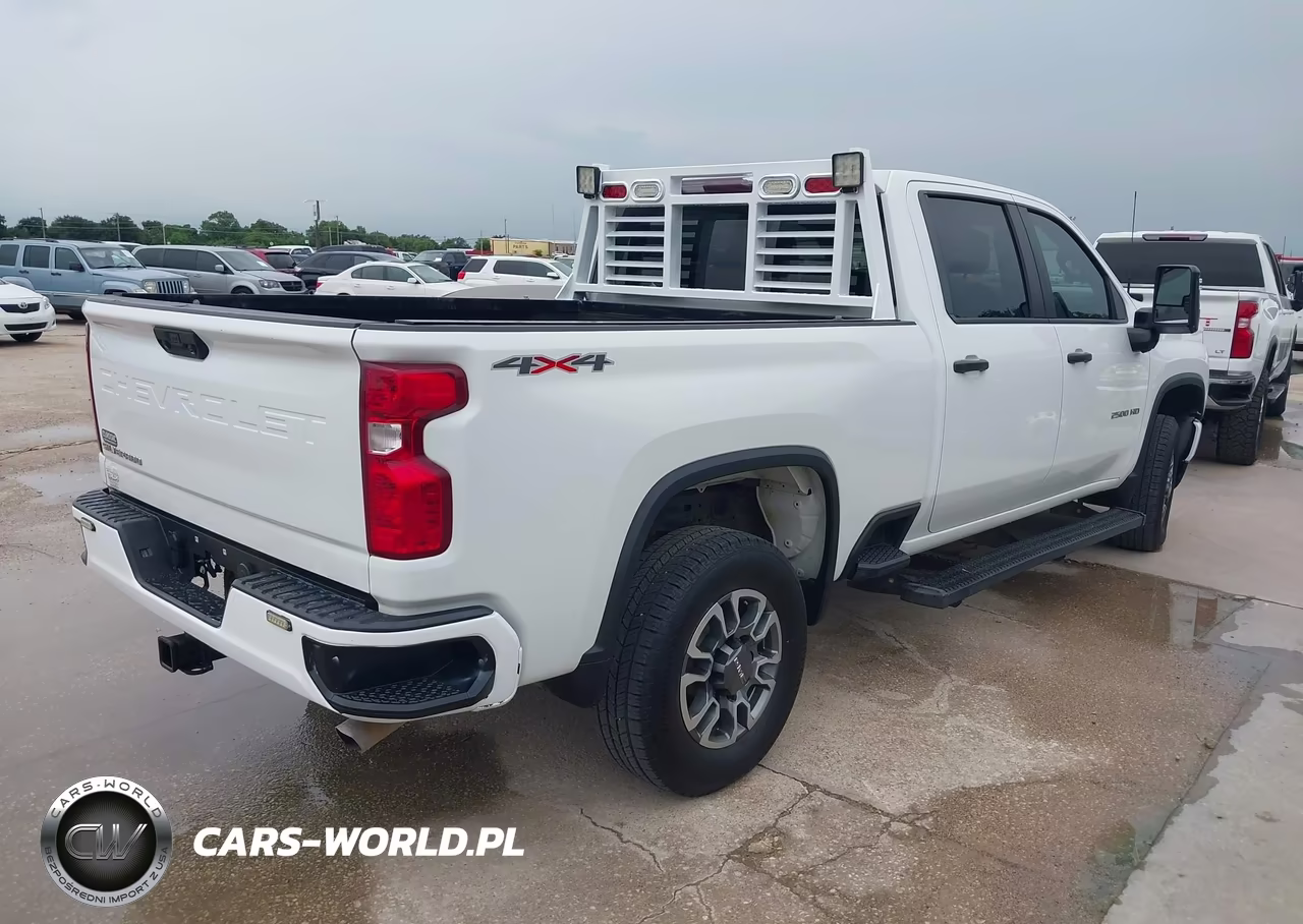 2020 Chevrolet Silverado 2500Hd 4Wd Standard Bed Wt VIN:1GC1YLE78LF248289 - 4