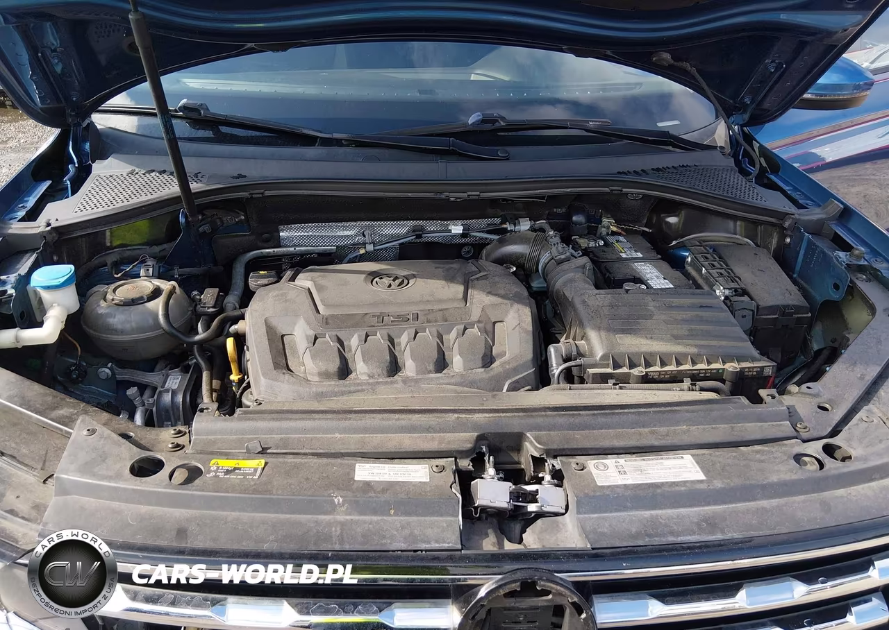 2019 Volkswagen Tiguan 2.0T S VIN:3VV1B7AX9KM057513 - 10