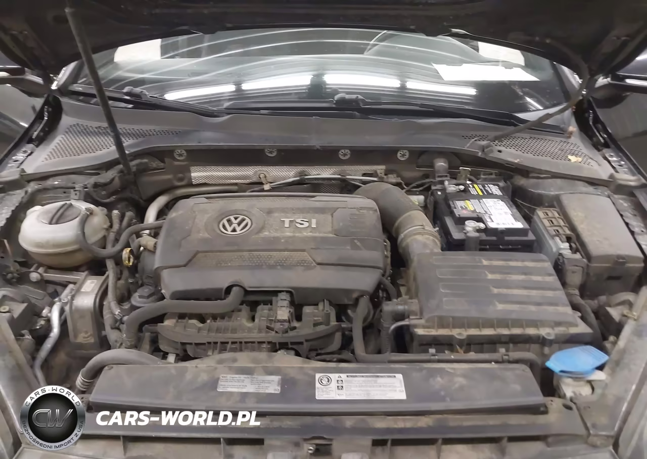 2016 Volkswagen Golf Gti S 2-Door VIN:3VWYT7AU3GM040419 - 10