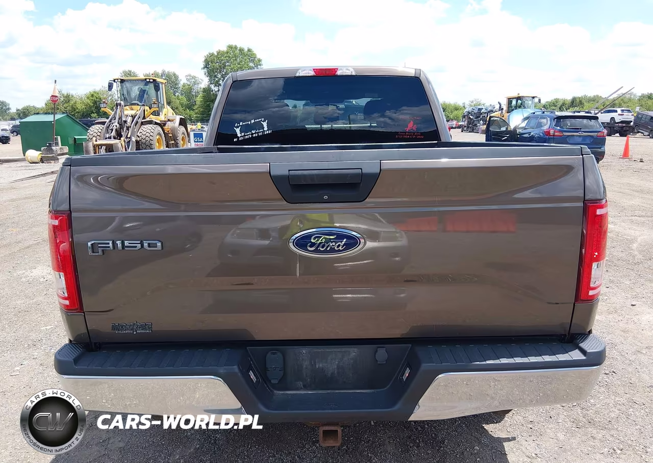 2017 Ford F-150 Xl VIN:1FTEX1E8XHFA15393 - 17