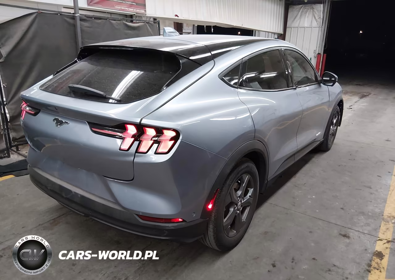 2022 Ford Mustang Mach-E Select VIN:3FMTK1RM4NMA51617 - 4
