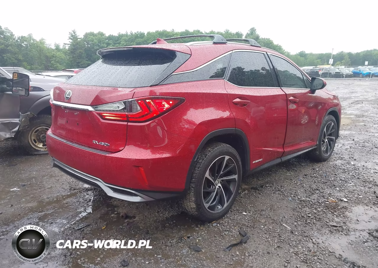 2017 Lexus Rx 450H VIN:2T2BGMCA6HC012165 - 4