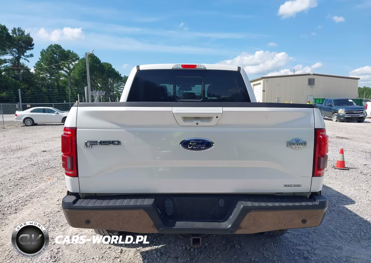 2016 Ford F-150 King Ranch-Lariat-Platinum-Xl-Xlt VIN:1FTEW1EF1GFC64942 - 16