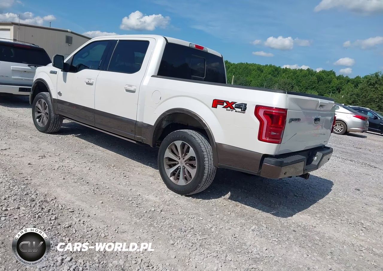 2016 Ford F-150 King Ranch-Lariat-Platinum-Xl-Xlt VIN:1FTEW1EF1GFC64942 - 3