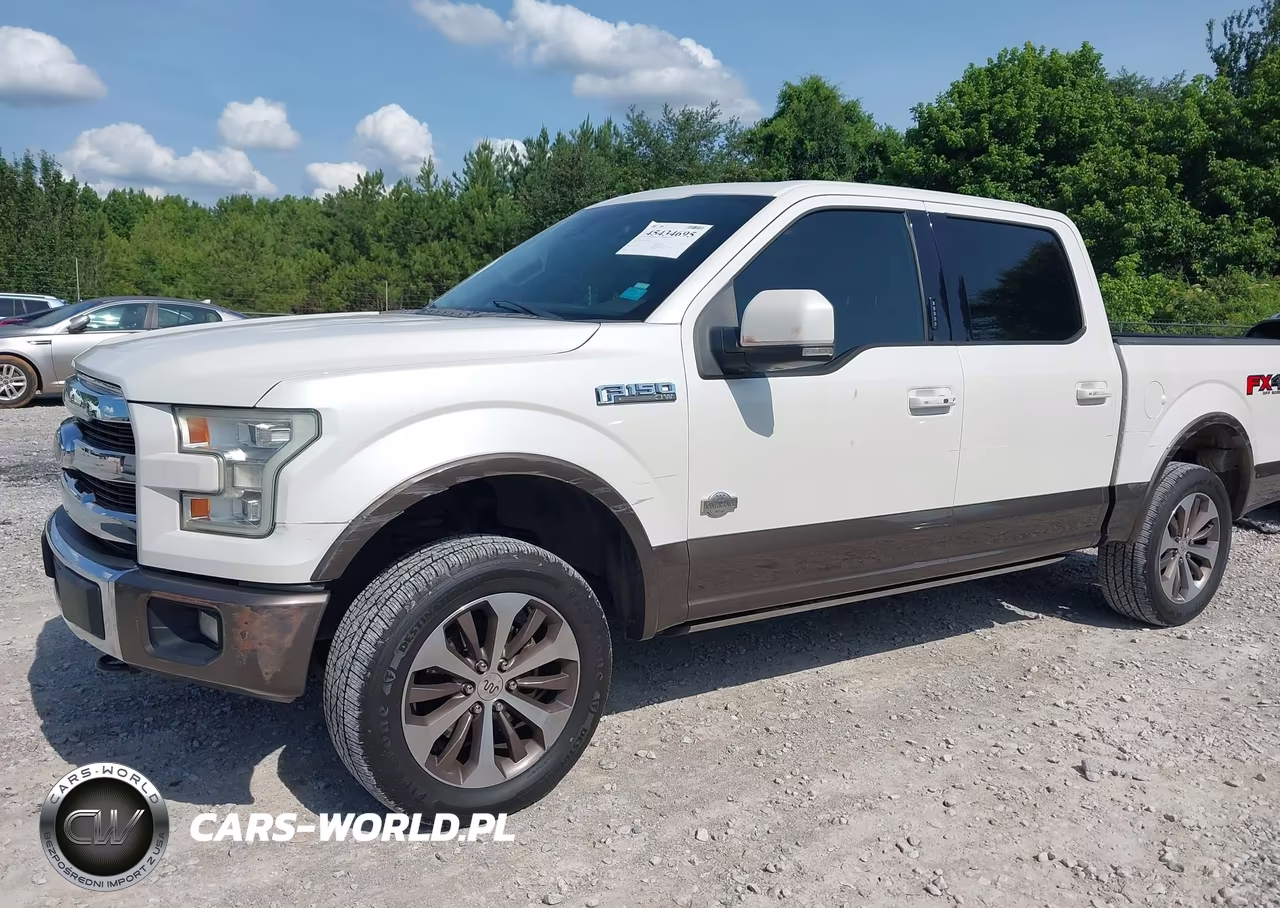 2016 Ford F-150 King Ranch-Lariat-Platinum-Xl-Xlt VIN:1FTEW1EF1GFC64942 - 6