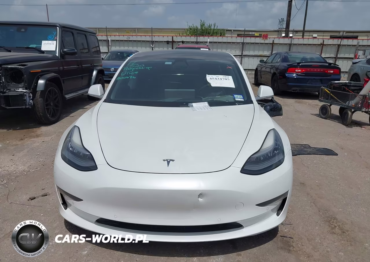 2020 Tesla Model 3 Standard Range Plus Rear-Wheel Drive-Standard Range Rear-Wheel Drive VIN:5YJ3E1EA7LF800676 - 10