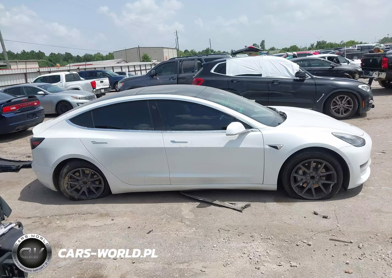 2020 Tesla Model 3 Standard Range Plus Rear-Wheel Drive-Standard Range Rear-Wheel Drive VIN:5YJ3E1EA7LF800676 - 11