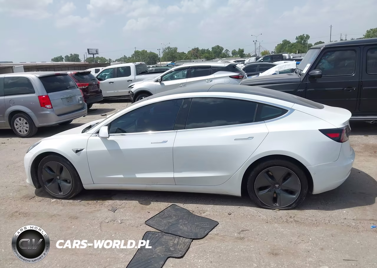 2020 Tesla Model 3 Standard Range Plus Rear-Wheel Drive-Standard Range Rear-Wheel Drive VIN:5YJ3E1EA7LF800676 - 12