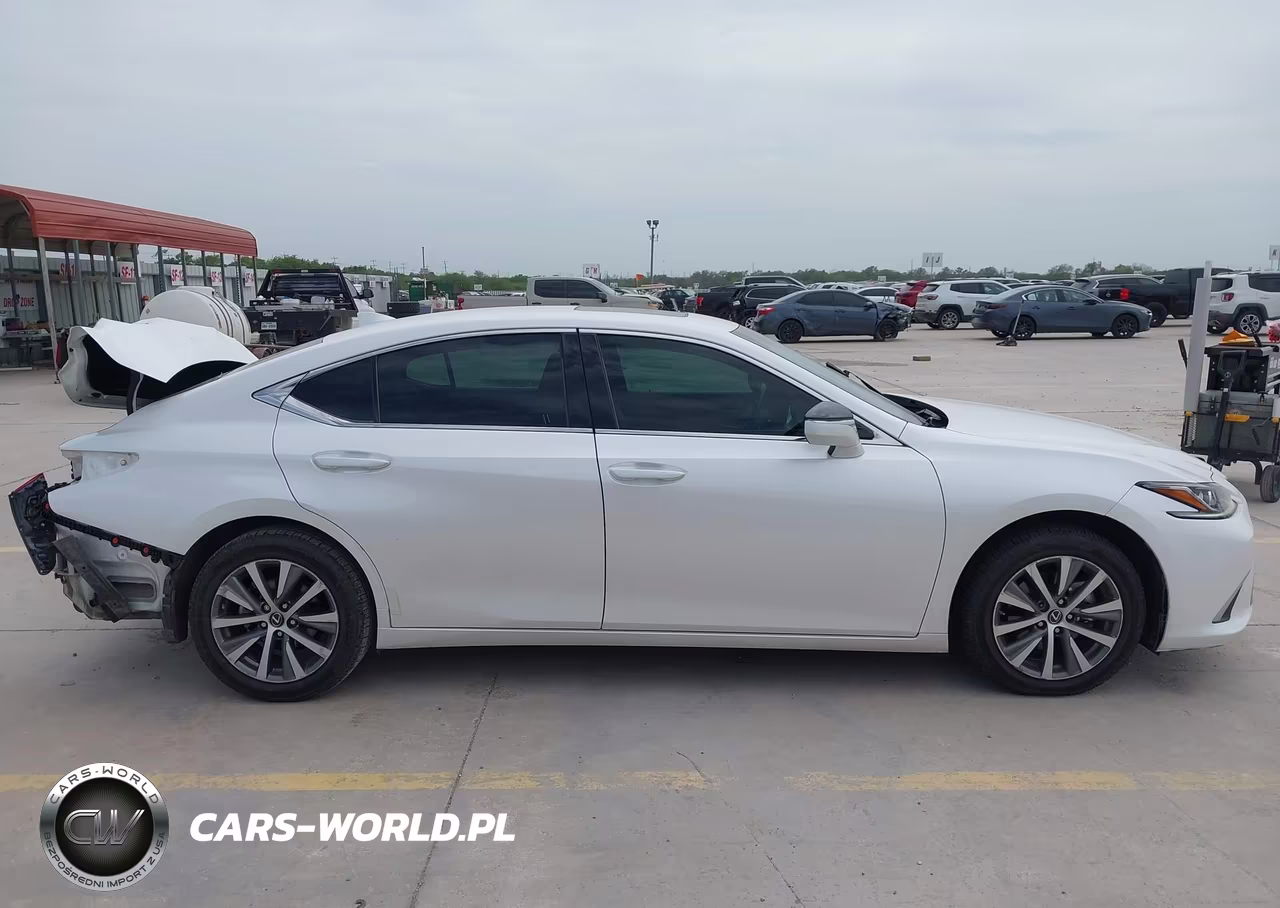 2020 Lexus Es 350 VIN:58ADZ1B13LU065042 - 13
