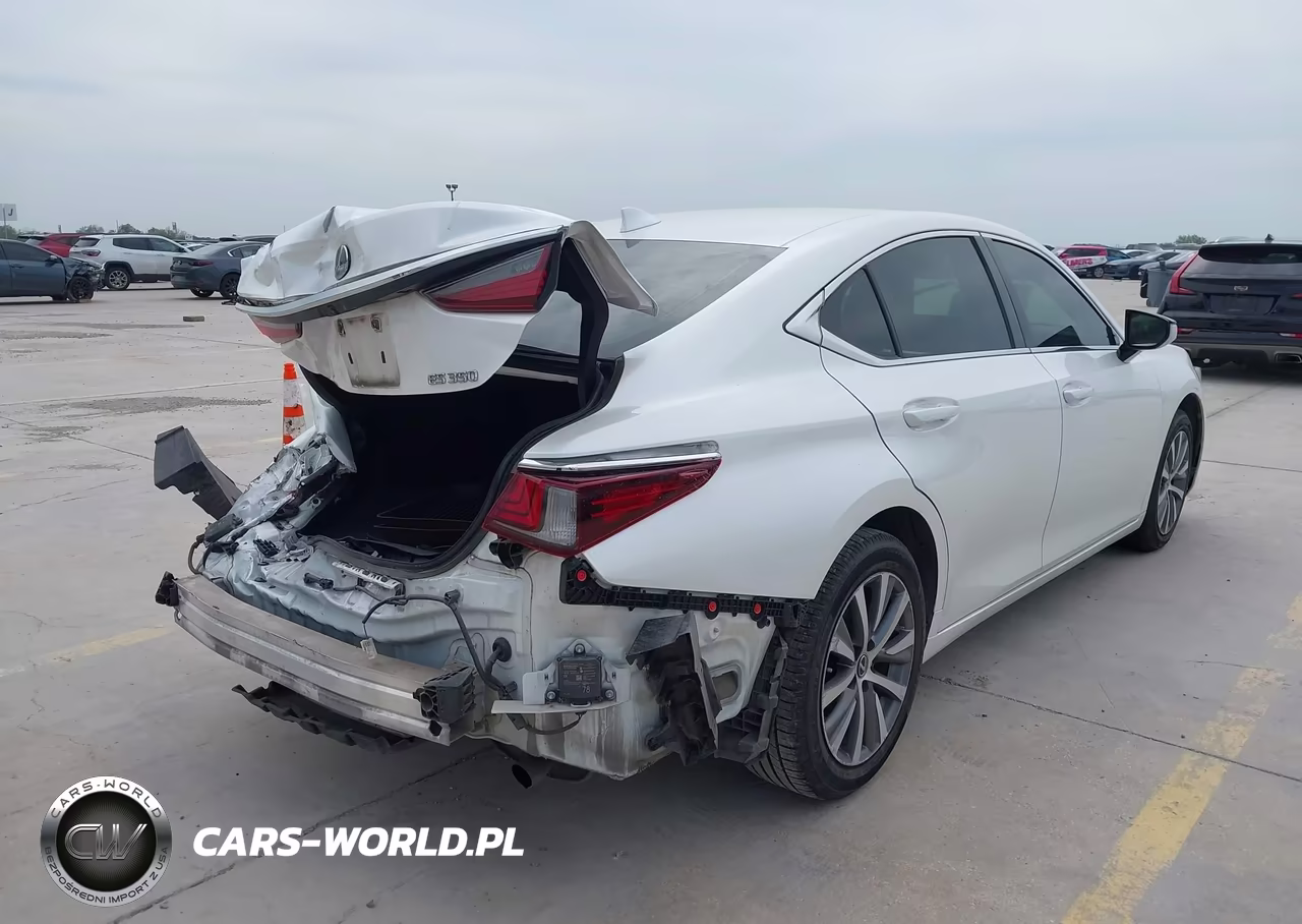 2020 Lexus Es 350 VIN:58ADZ1B13LU065042 - 4