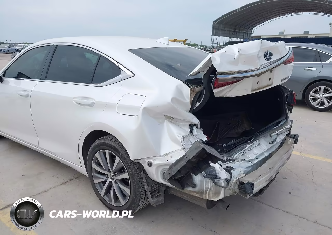 2020 Lexus Es 350 VIN:58ADZ1B13LU065042 - 6