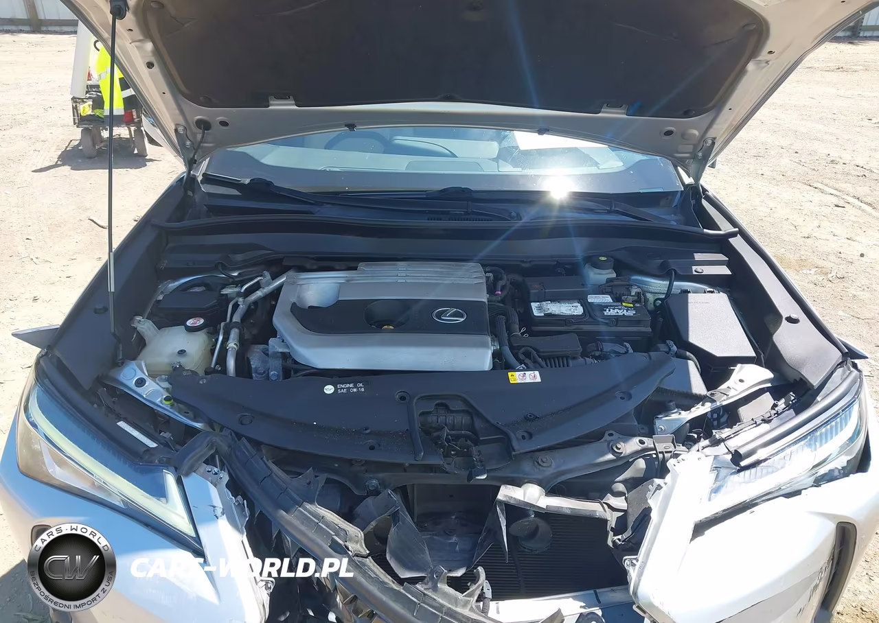 2019 Lexus Ux 200 VIN:JTHY3JBH9K2004783 - 10