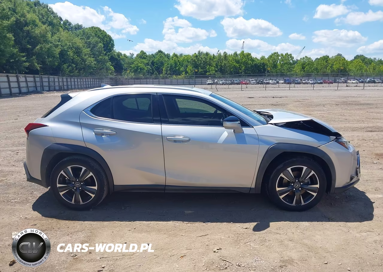 2019 Lexus Ux 200 VIN:JTHY3JBH9K2004783 - 13