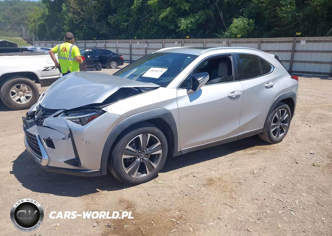 2019 Lexus Ux 200 VIN:JTHY3JBH9K2004783 - 2