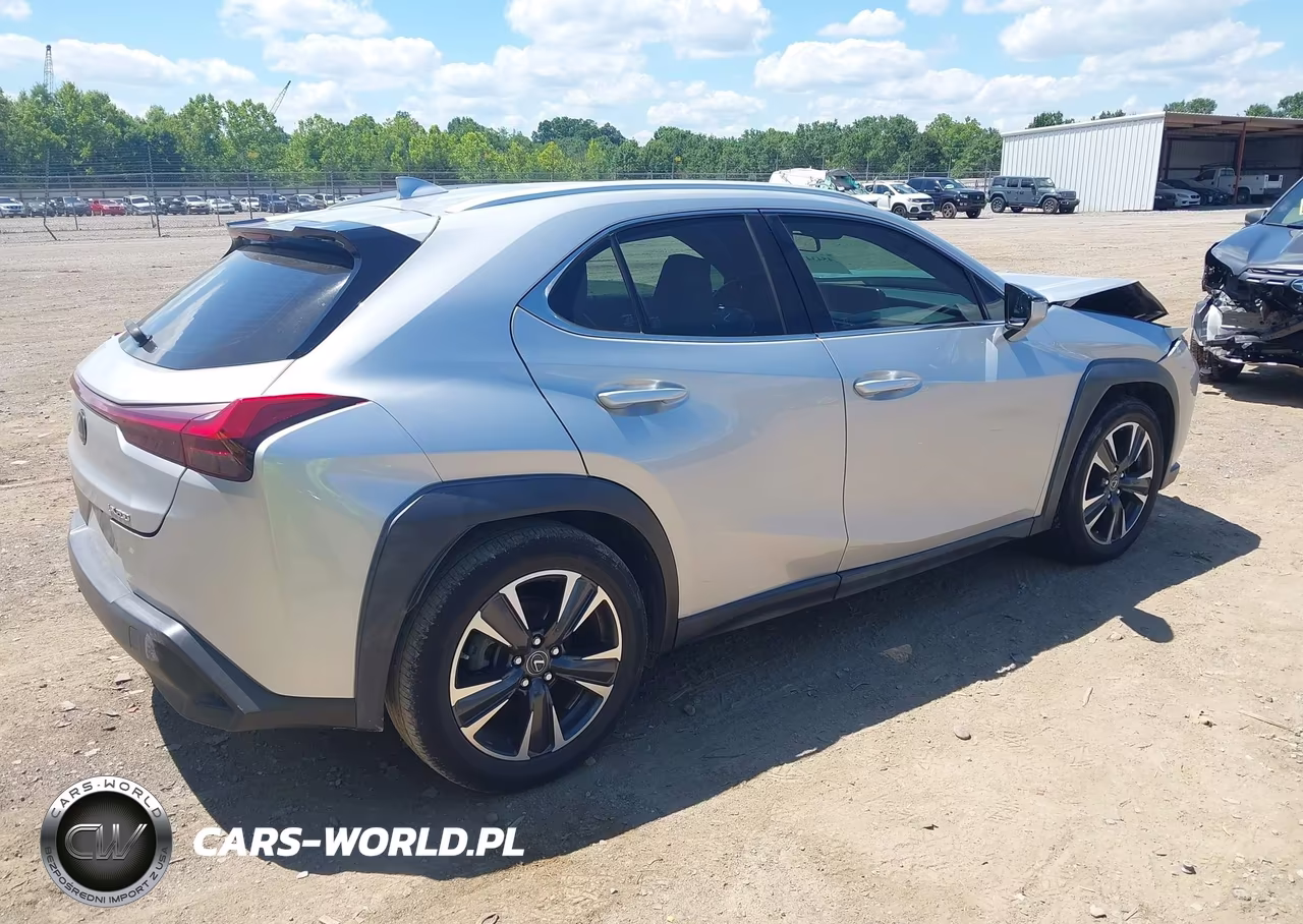 2019 Lexus Ux 200 VIN:JTHY3JBH9K2004783 - 4