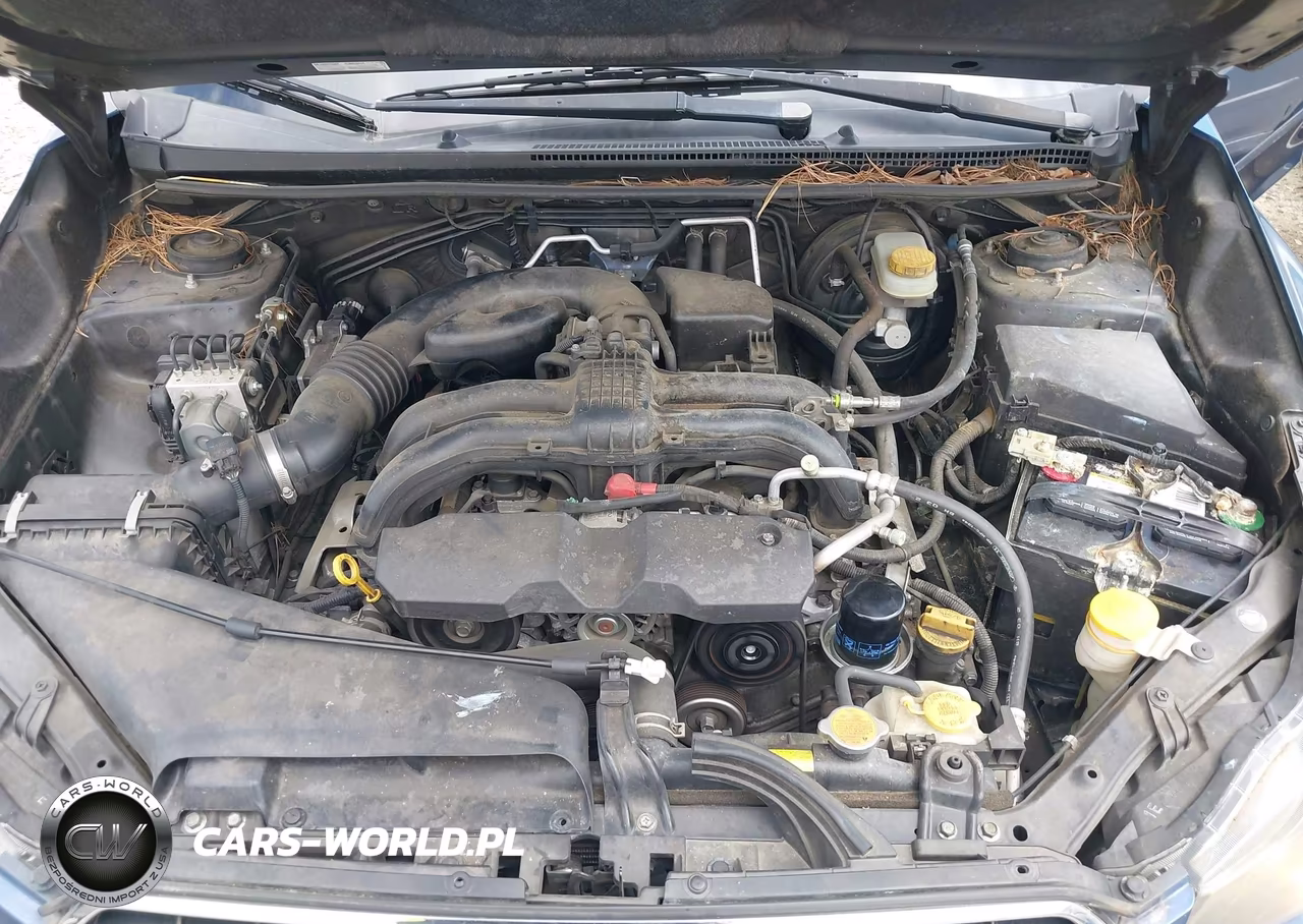 2013 Subaru Xv Crosstrek 2.0I Premium VIN:JF2GPAVC0D2215022 - 10