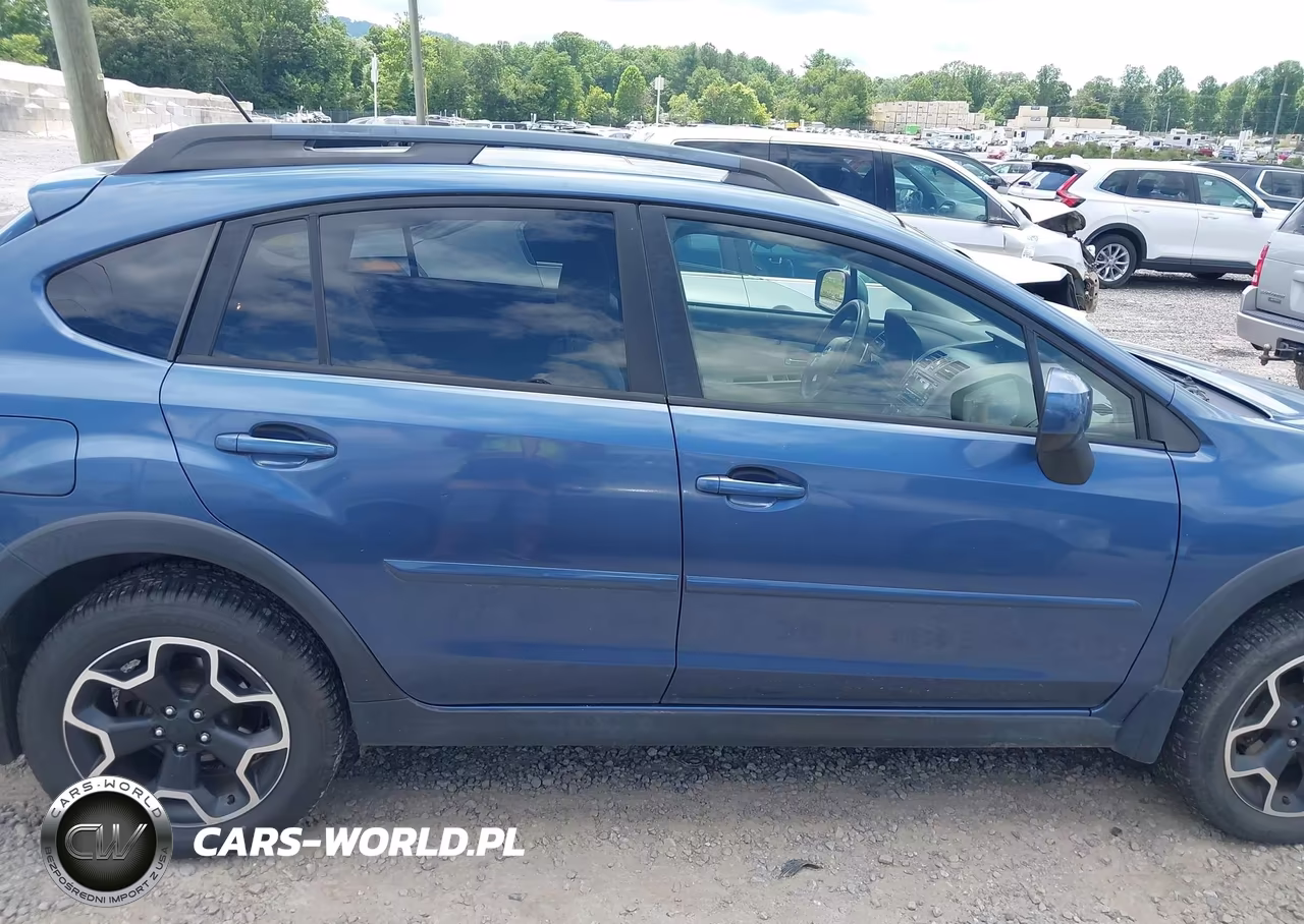 2013 Subaru Xv Crosstrek 2.0I Premium VIN:JF2GPAVC0D2215022 - 13