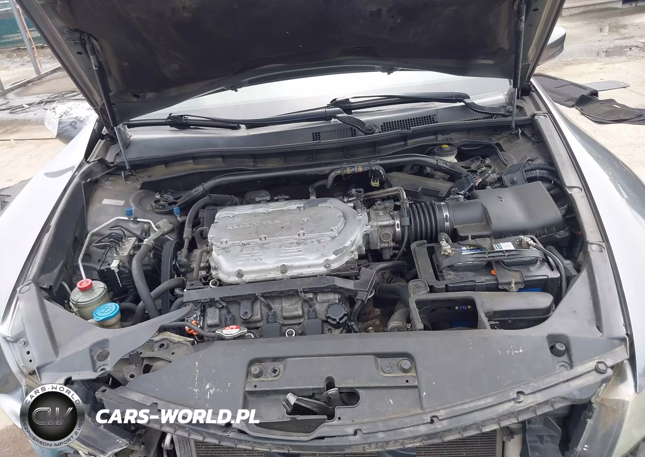 2010 Honda Accord 3.5 Ex-L VIN:1HGCS2B83AA004952 - 10