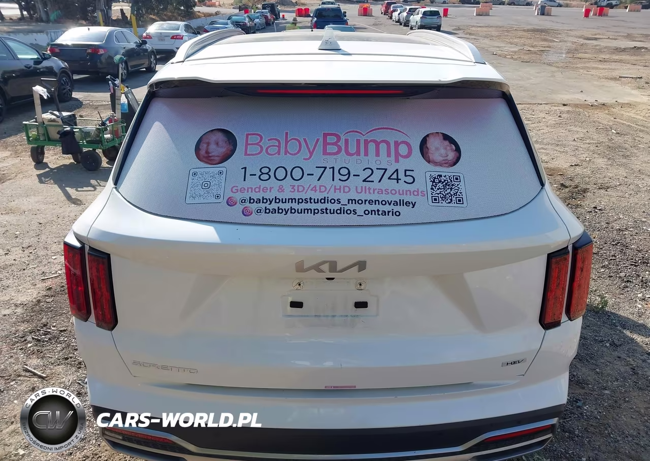 2023 Kia Sorento Hybrid Sx Prestige VIN:KNDRMDLG0P5130594 - 17
