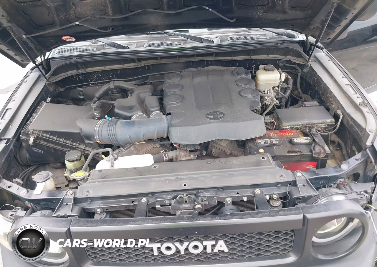 2010 Toyota Fj Cruiser VIN:JTEBU4BF3AK079798 - 10