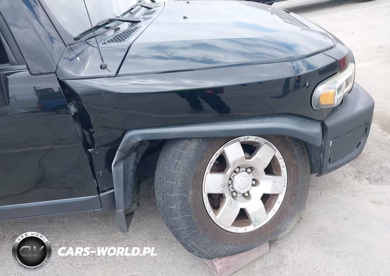 2010 Toyota Fj Cruiser VIN:JTEBU4BF3AK079798 - 13