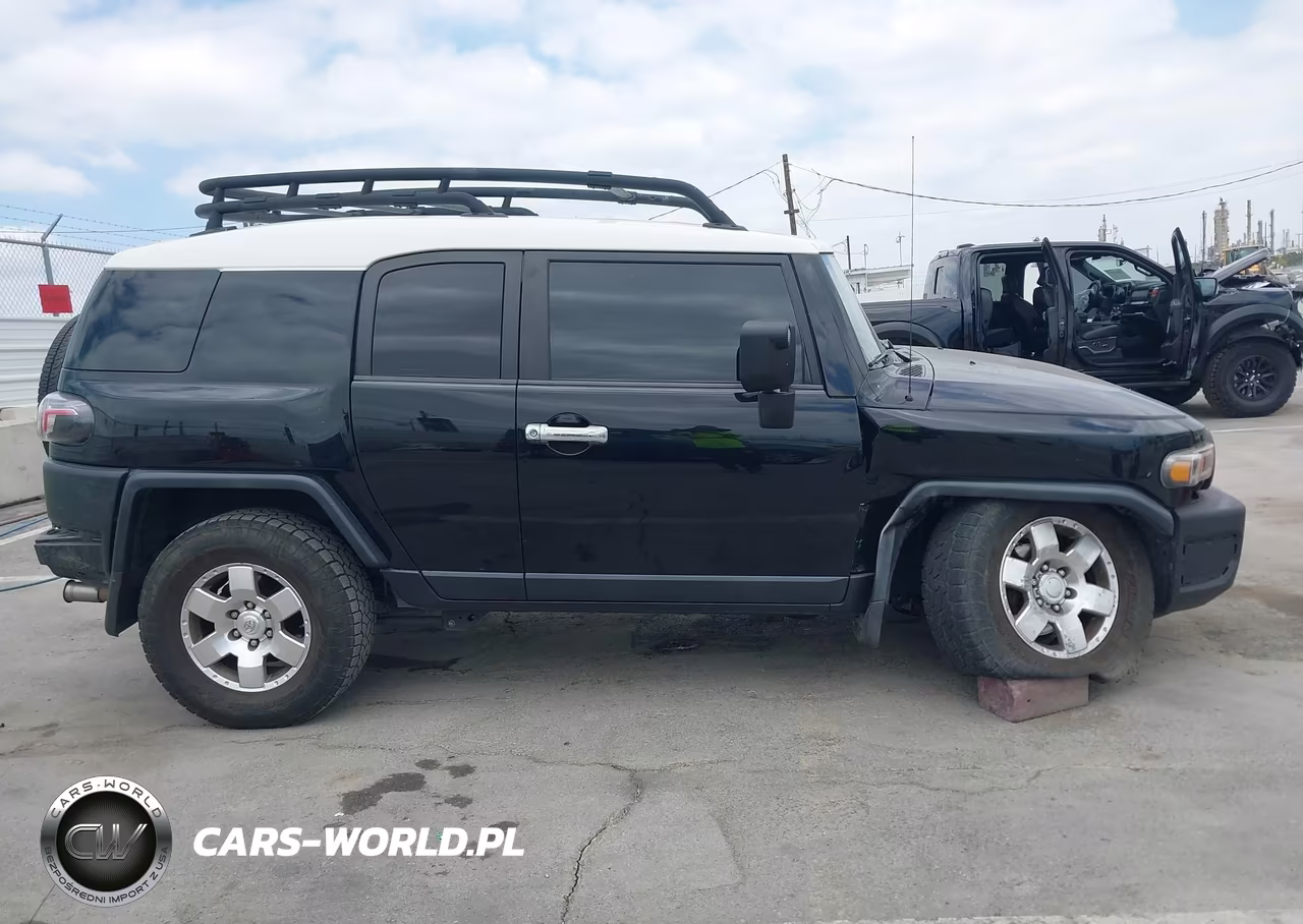 2010 Toyota Fj Cruiser VIN:JTEBU4BF3AK079798 - 17