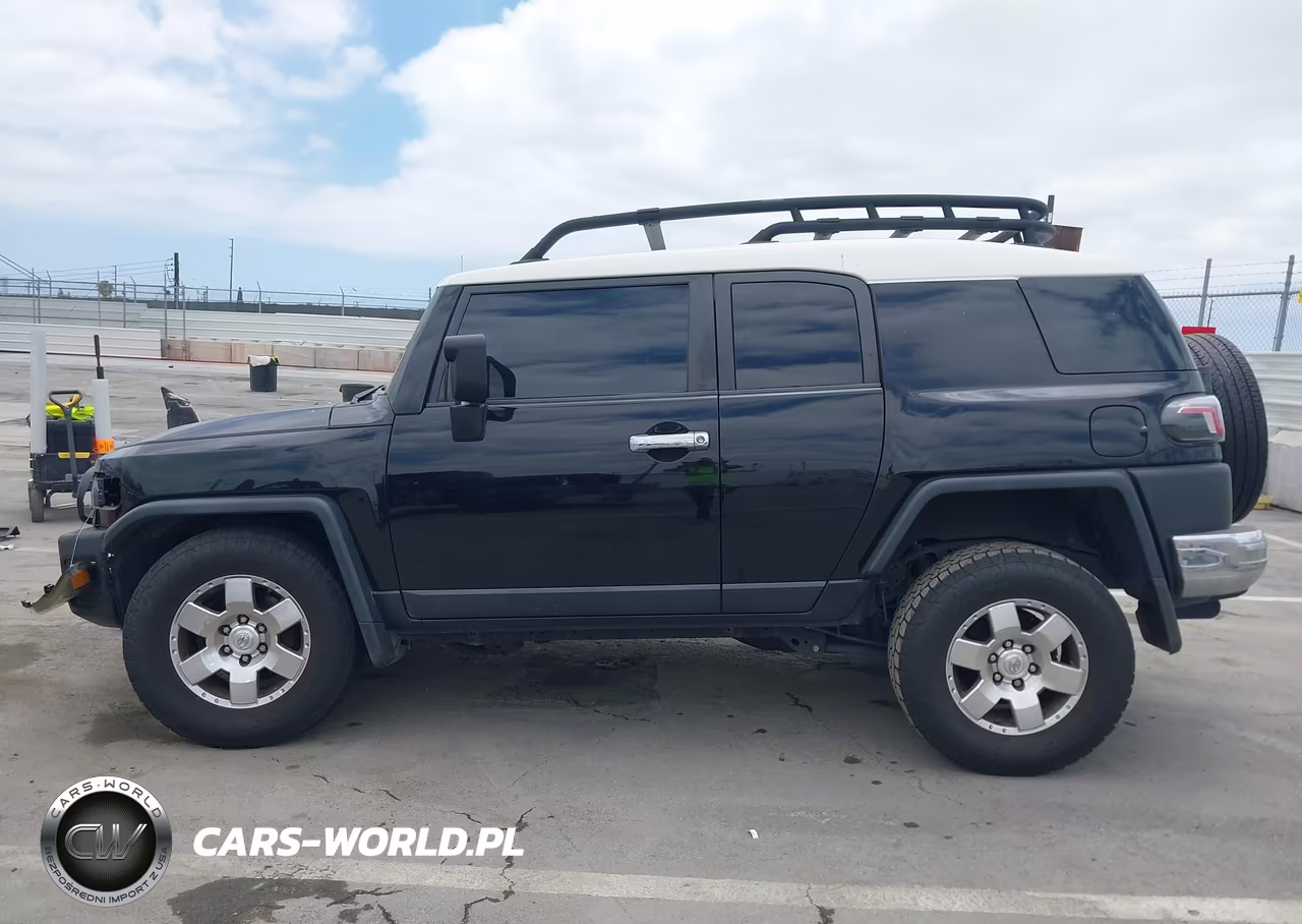 2010 Toyota Fj Cruiser VIN:JTEBU4BF3AK079798 - 18