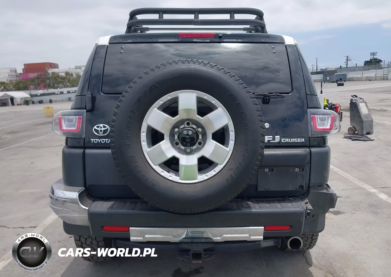 2010 Toyota Fj Cruiser VIN:JTEBU4BF3AK079798 - 20