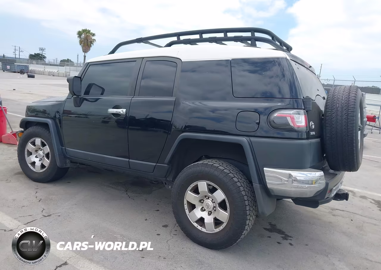2010 Toyota Fj Cruiser VIN:JTEBU4BF3AK079798 - 3
