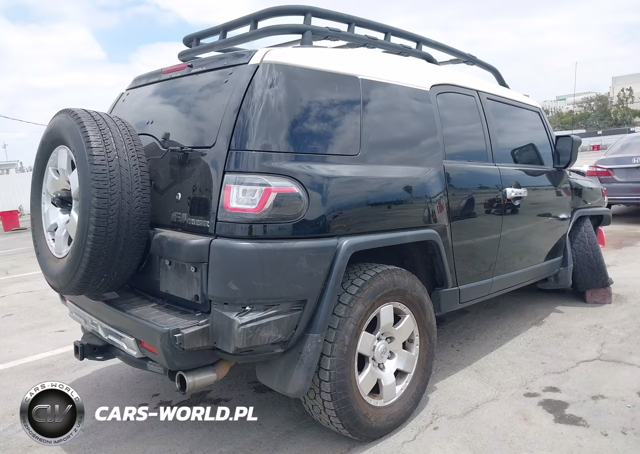 2010 Toyota Fj Cruiser VIN:JTEBU4BF3AK079798 - 4